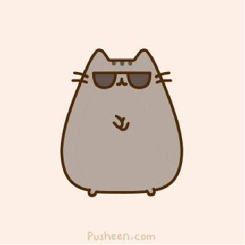 Gangnam cat