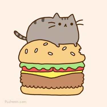 Hamburger cat