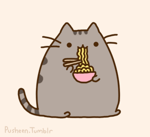 Noodle cat